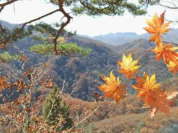 手机号码定位苹果版（手机号码定位苹果版怎么设置）